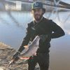 fishandgritz