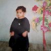 zareen199