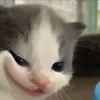 moithangdoiten1lan