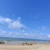 nguyenanh932