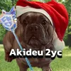 Akideu