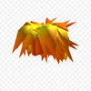 robloxzaid_blr