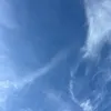 maybeno_17