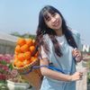 _tor.toei