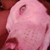 .bexxx99
