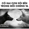 huynhtruonghai1996