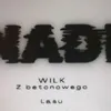 nadione88