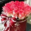 mohamad__afrin0