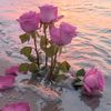 flower_9992