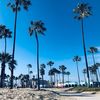 gnx_mclean