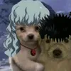 leojokk