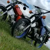 haui281