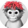 philip.akp