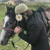 taha_2003n