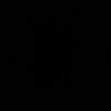 10tp61