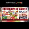 fresh_7451