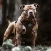 bullyclub2024