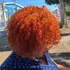 valeriafgcro