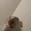 estefany_mause