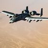 a.10.warthog
