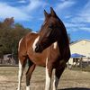triplecreekfarm803