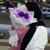 nermeennajih