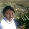 arzdsef