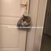 catherine_sith