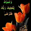 mohammad92796