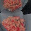 alanud_07