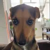 vinnypoem