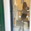 adriana_barlev