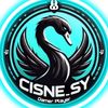 cisne_sy_27