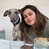 whippet_changing_lanes
