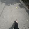 dropstonee