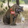 linh_u_45
