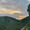 nghiatran1711