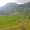 hatiberbung
