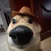 wanghuy046