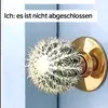 hermine_73