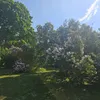 shamiminjosh