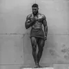 ph_gains