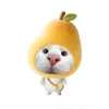 _pqothpy_0105