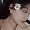 shusi_ddndy25