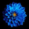 carolyn1027