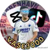 vase3000