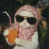 solar_d2