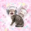 kitty_bubb1e