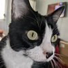 tex_kat