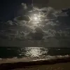 malak_aboudi_2b